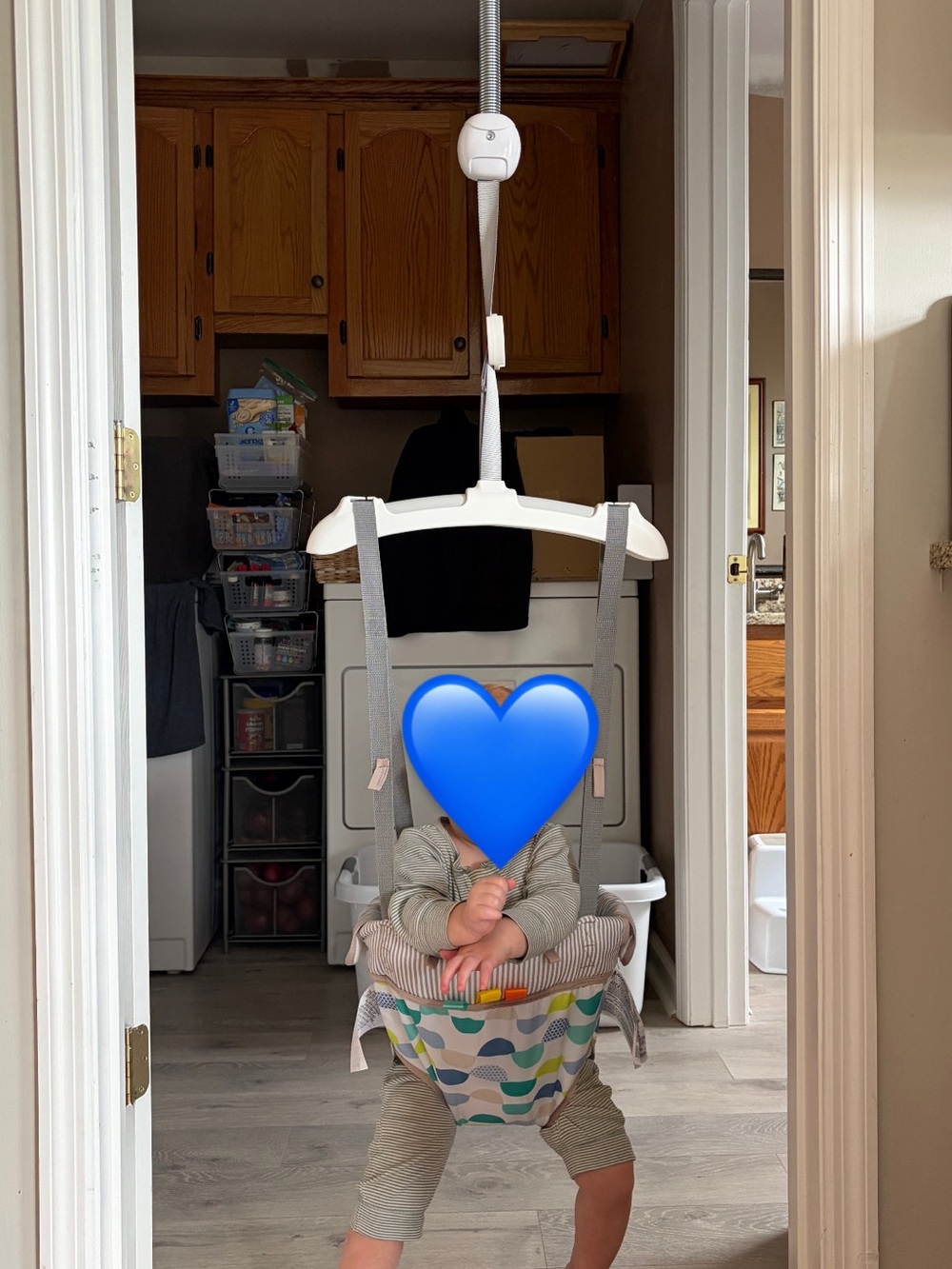 Baby Doorway Jumper - Gray/Multicolor Baby Activity Seat